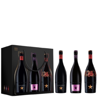 金星啤酒 2025端午禮盒組-粽星雲集