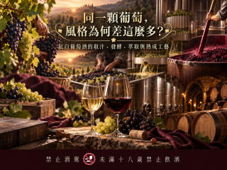同一顆葡萄，風格為何差這麼多？紅白葡萄酒的取汁、發酵、萃取與熟成工藝