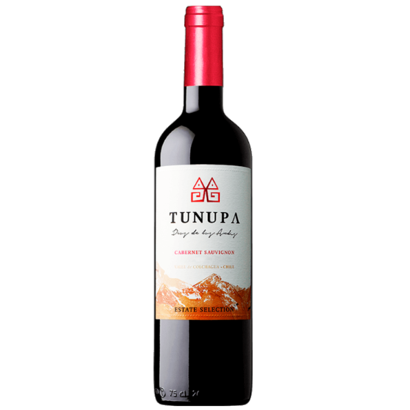 智利山神卡本內蘇維濃紅葡萄酒 2022