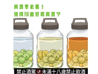 梅酒季必看！如何釀出好喝梅酒？ ｜推薦十款適合釀梅酒的酒款！文章縮圖