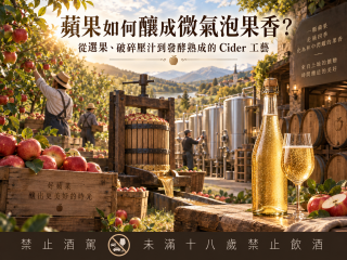 蘋果如何釀成微氣泡果香？從選果、破碎壓汁到發酵熟成的 Cider 工藝