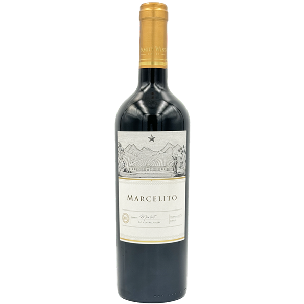 馬瑟洛酒莊 馬瑟洛珍藏梅洛紅葡萄酒