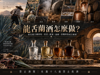 龍舌蘭酒怎麼做？ 藍色龍舌蘭採收、蒸煮、壓榨、發酵、蒸餾與熟成全解析