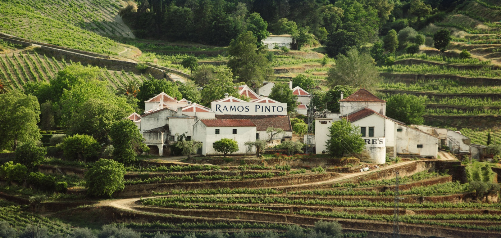 波特酒酒莊Ramos Pinto