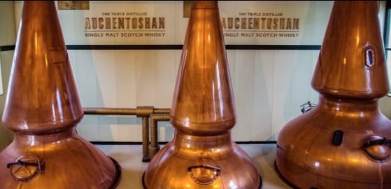 歐肯 AUCHENTOSHAN 釀酒