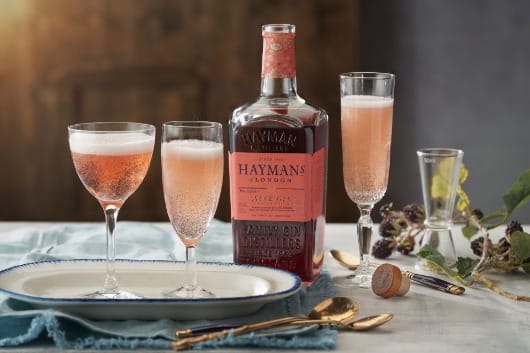 海曼 黑刺李琴酒 Hayman's Sloe Gin