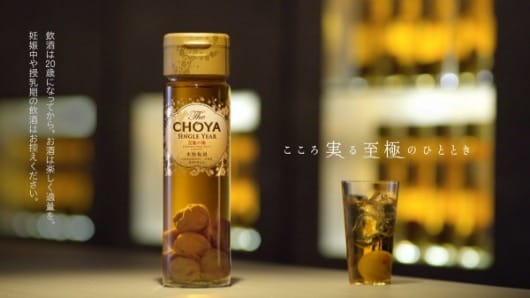 CHOYA至極梅酒2024年禮盒 Choya Single Year Umeshu