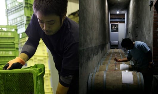 麻屋葡萄酒株式会社 Asaya Winery