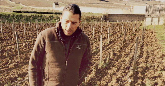 杜卡皮酒莊（Domaine Dugat-Py）