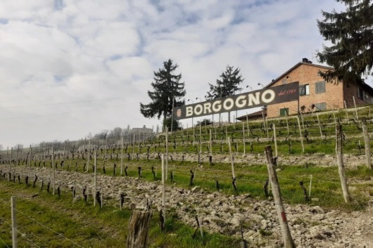 Borgogno No Name